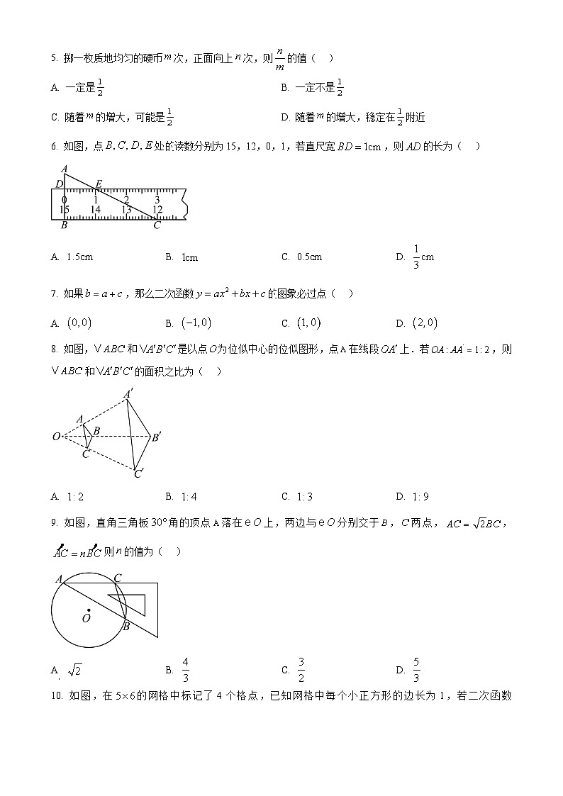 浙江省金华市东阳市2024-2025学年九年级上学期1月期末考试数学试题（原卷版+解析版）第2页