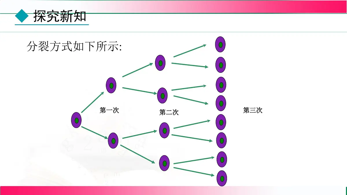 2.3.1 乘方 （第1课时） 课件2024-2025学年人教版七年级数学上册第6页