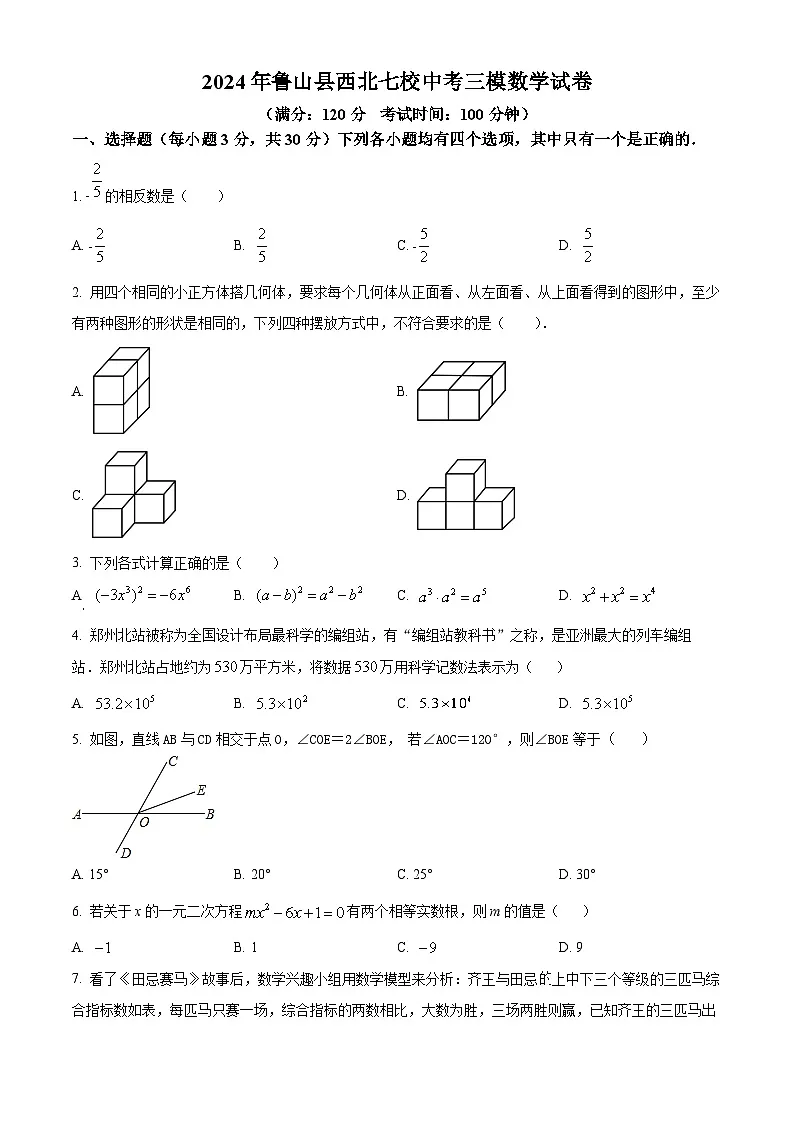 2024年河南省平顶山市鲁山县西北七校中考三模数学试卷（中考模拟）第1页