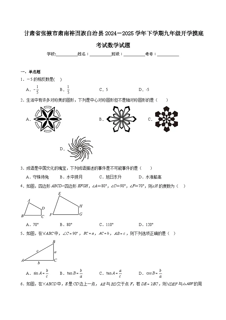 甘肃省张掖市肃南裕固族自治县2025届九年级下学期开学摸底考试数学试卷(含解析)第1页