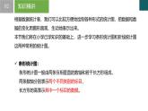 6.2 條形統(tǒng)計(jì)圖和折線統(tǒng)計(jì)圖（同步課件）-2024-2025學(xué)年七年級數(shù)學(xué)下冊（浙教版2024）
