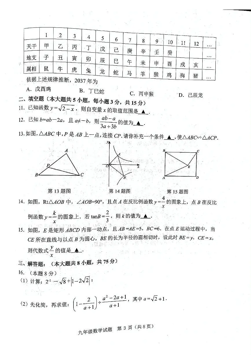 2025年山东省济宁市金乡县中考三模数学试题（中考模拟）第3页