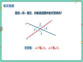 7.2相交線（課時(shí)2）（教學(xué)課件）-初中數(shù)學(xué)冀教版（2024）七年級(jí)下冊
