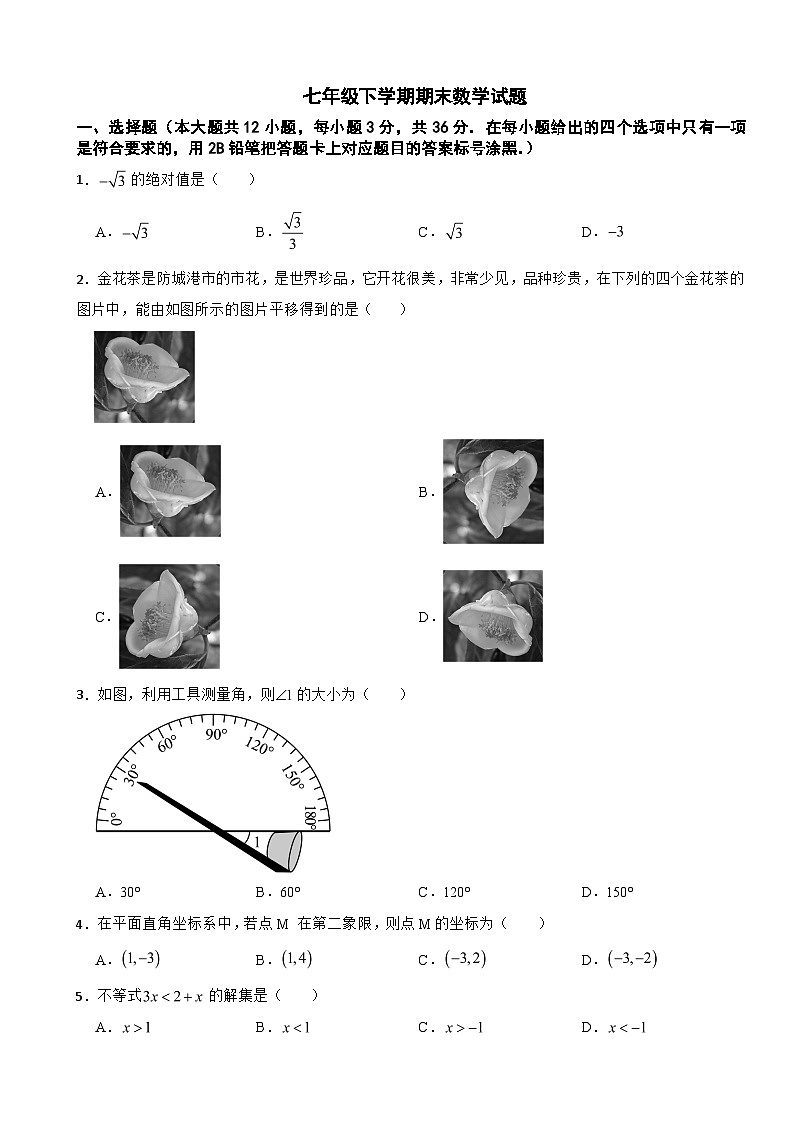 广西壮族自治区防城港市2025年七年级下学期期末数学试题及答案第1页