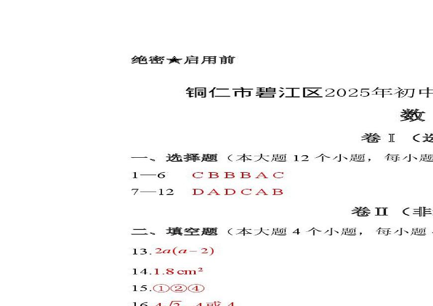 2025年 贵州省铜仁市碧江区九年级初中学业水平模拟考试 数学试卷（中考模拟）第3页