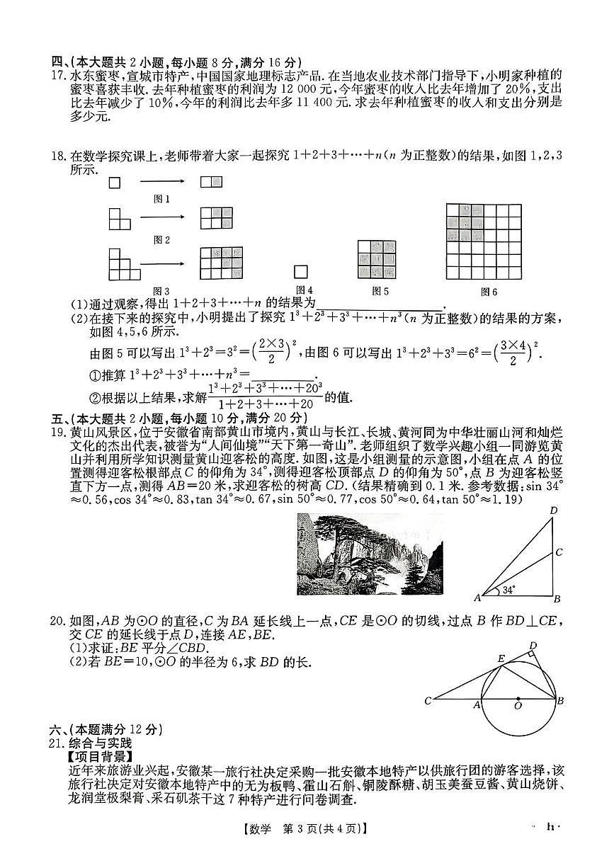 2025年安徽省阜阳市太和县三模数学试题（中考模拟）第3页
