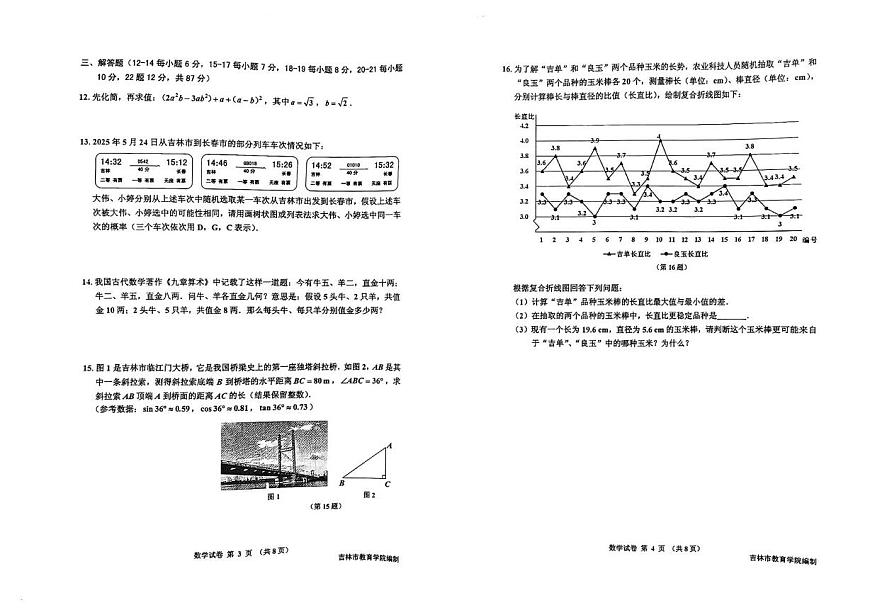 2025年吉林省吉林市中考二模数学试题（中考模拟）第2页