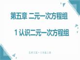 北師大版初中數(shù)學(xué)八年級上冊第五章 二元一次方程組1 認識二元一次方程組課件+教案