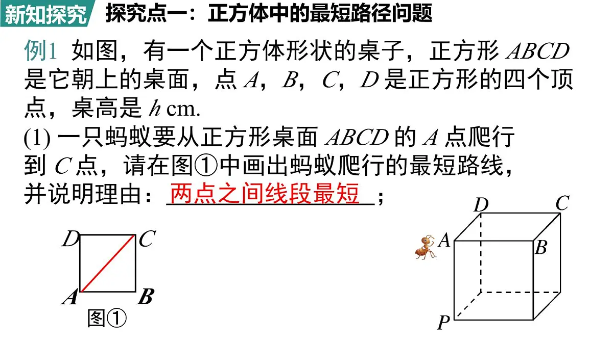 北师大版（2024）八年级数学上册 第一章 勾股定理 问题解决策略：反思（课件）第4页