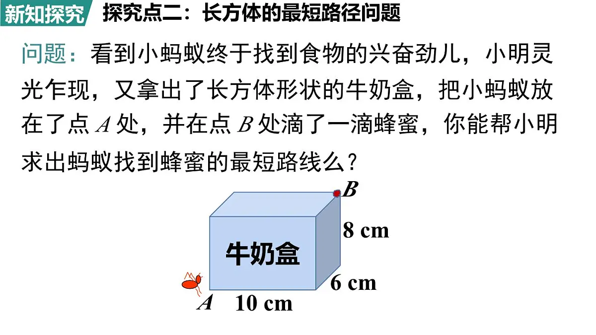 北师大版（2024）八年级数学上册 第一章 勾股定理 问题解决策略：反思（课件）第6页