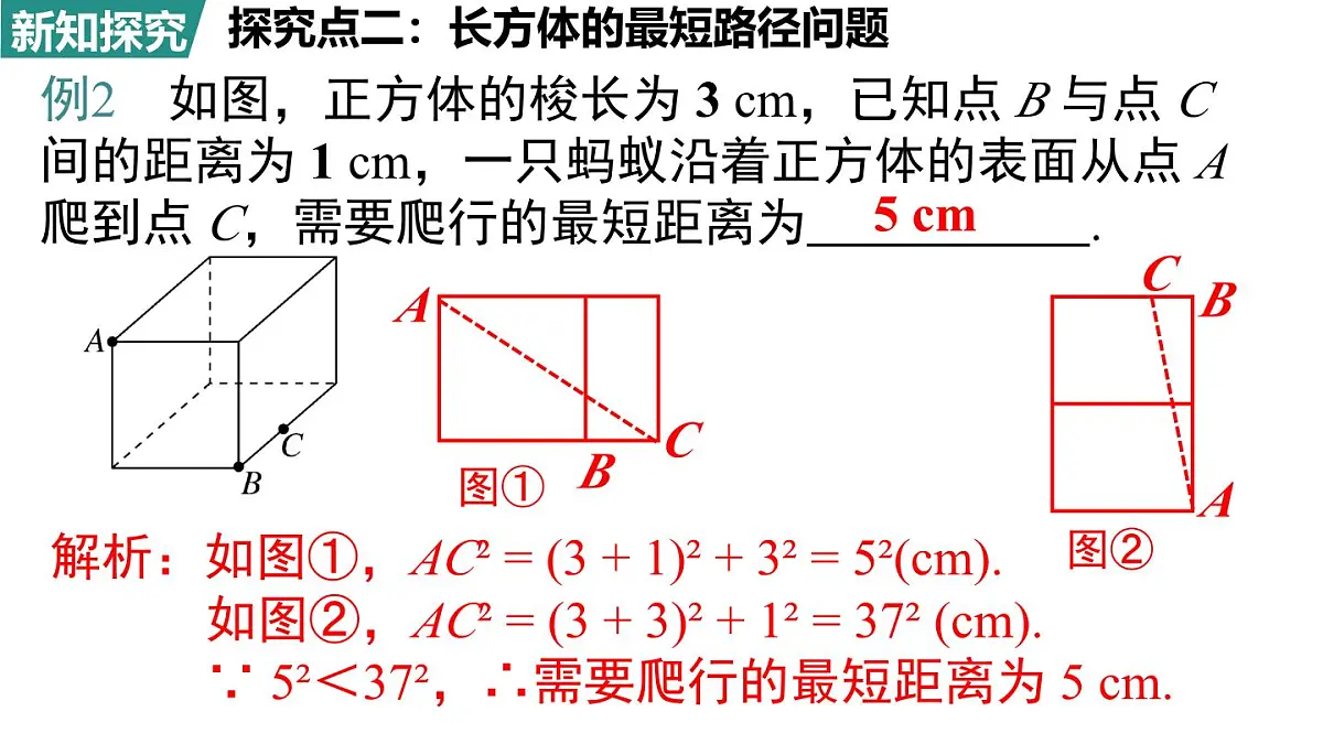 北师大版（2024）八年级数学上册 第一章 勾股定理 问题解决策略：反思（课件）第8页