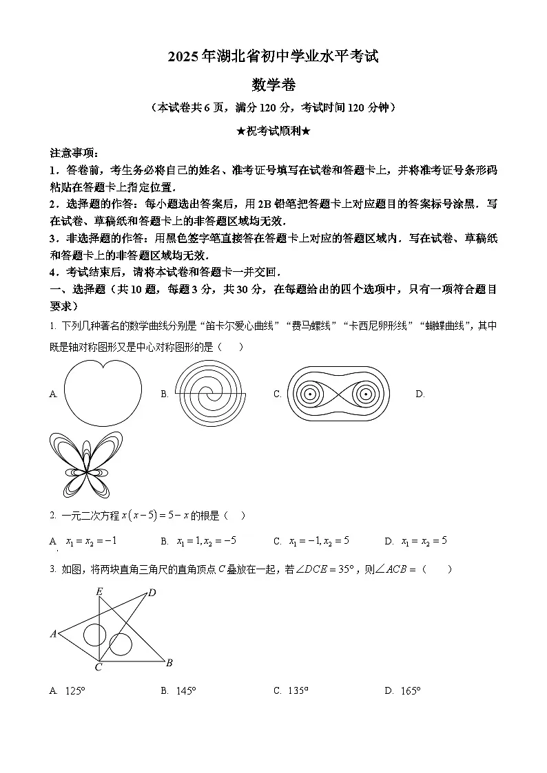 2025年湖北省武汉市武汉经开外国语学校初中学业水平考试数学试题 （中考模拟）第1页