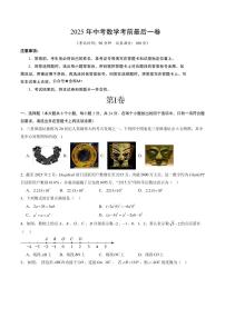 中考最后一卷数学(考试版)