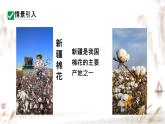 初中 數(shù)學 人教版（2024）七年級下冊10.1  二元一次方程組的概念 課件