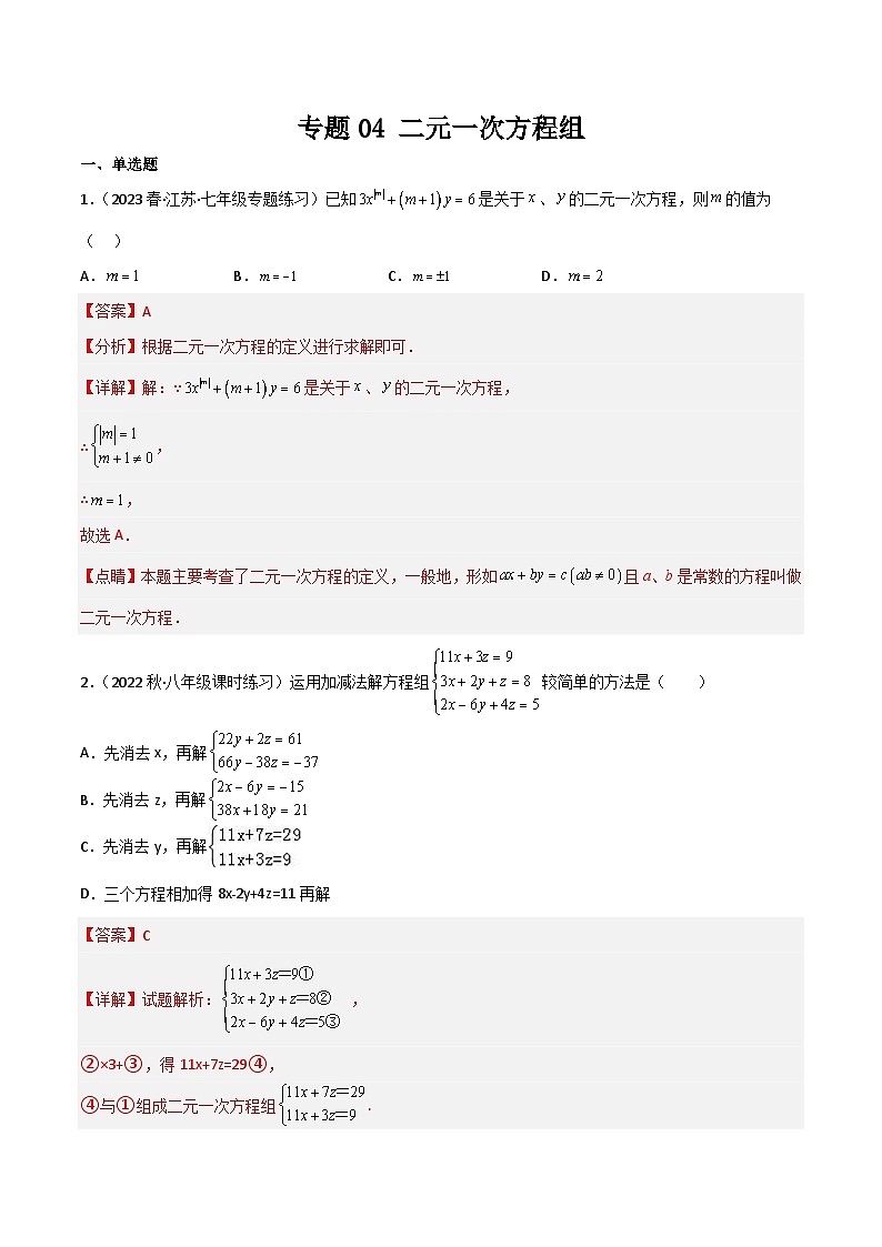 专题04 二元一次方程组(解析版）第1页