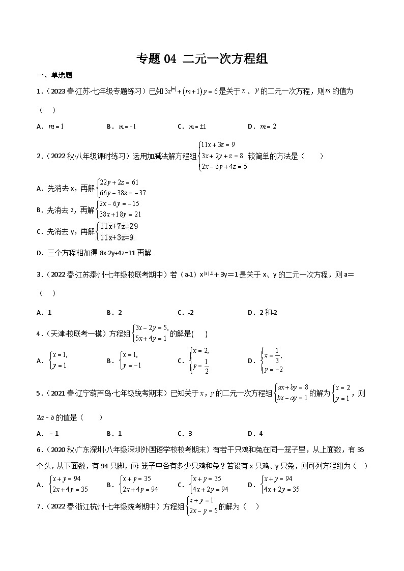 专题04 二元一次方程组(原卷版）第1页