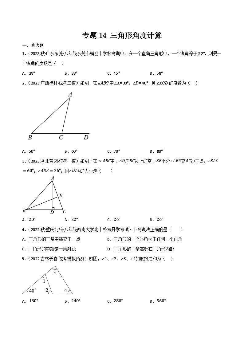 专题14 三角形角度计算(原卷版）第1页