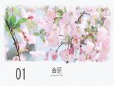 初中 數(shù)學(xué) 人教版（2024）七年級下冊7.3.2命題、定理、證明 課件