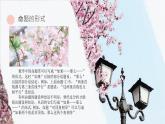 初中 數(shù)學(xué) 人教版（2024）七年級下冊7.3.2命題、定理、證明 課件