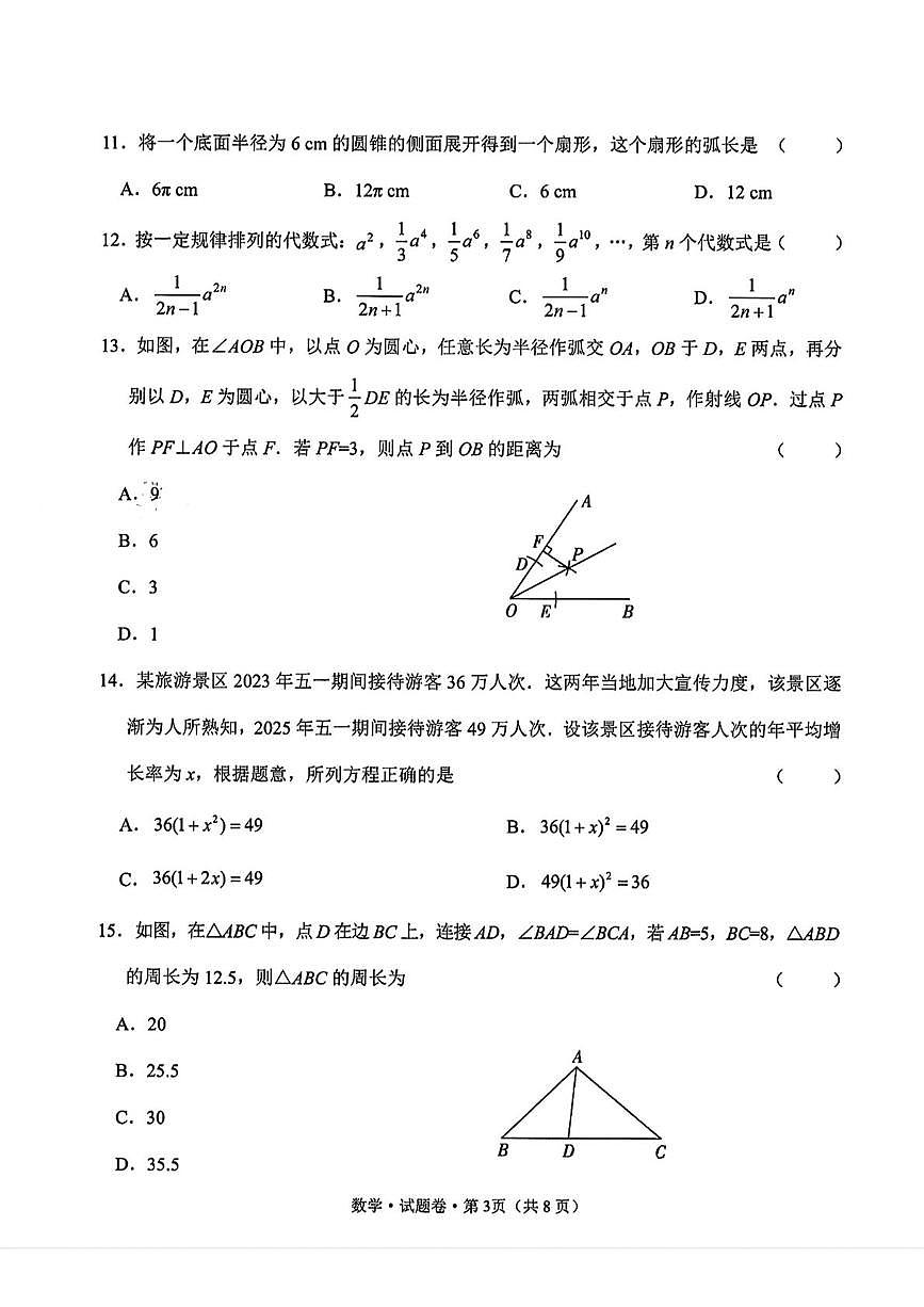 2025年云南省西双版纳傣族自治州景洪市九年级中考二模数学试题（中考模拟）第3页