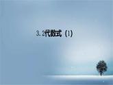 數(shù)學(xué)冀教版（2024）七年級上冊 3.2 代數(shù)式 課件