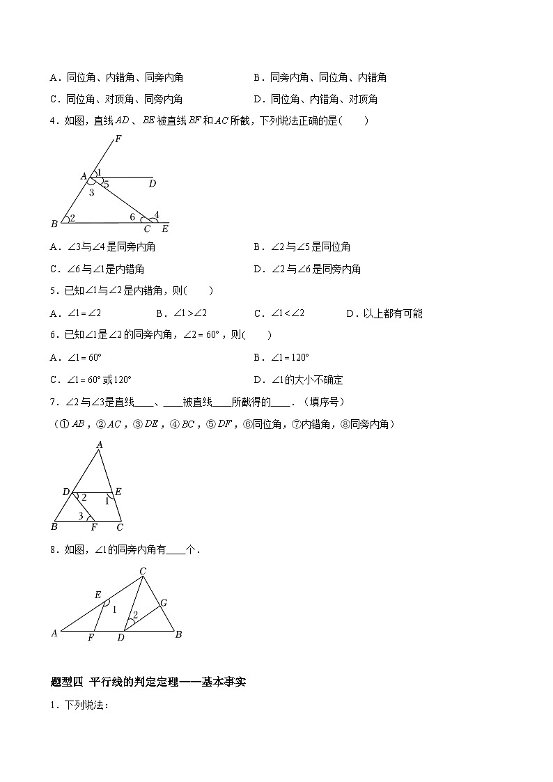 6.4.1&6.4.2&6.4.3 平行线——平行线的定义与判定 （4大题型提分练）（原卷版）docx第3页