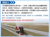 10.1 二元一次方程組的概念課件-七年級數(shù)學下冊同步高效課堂（人教版2024）