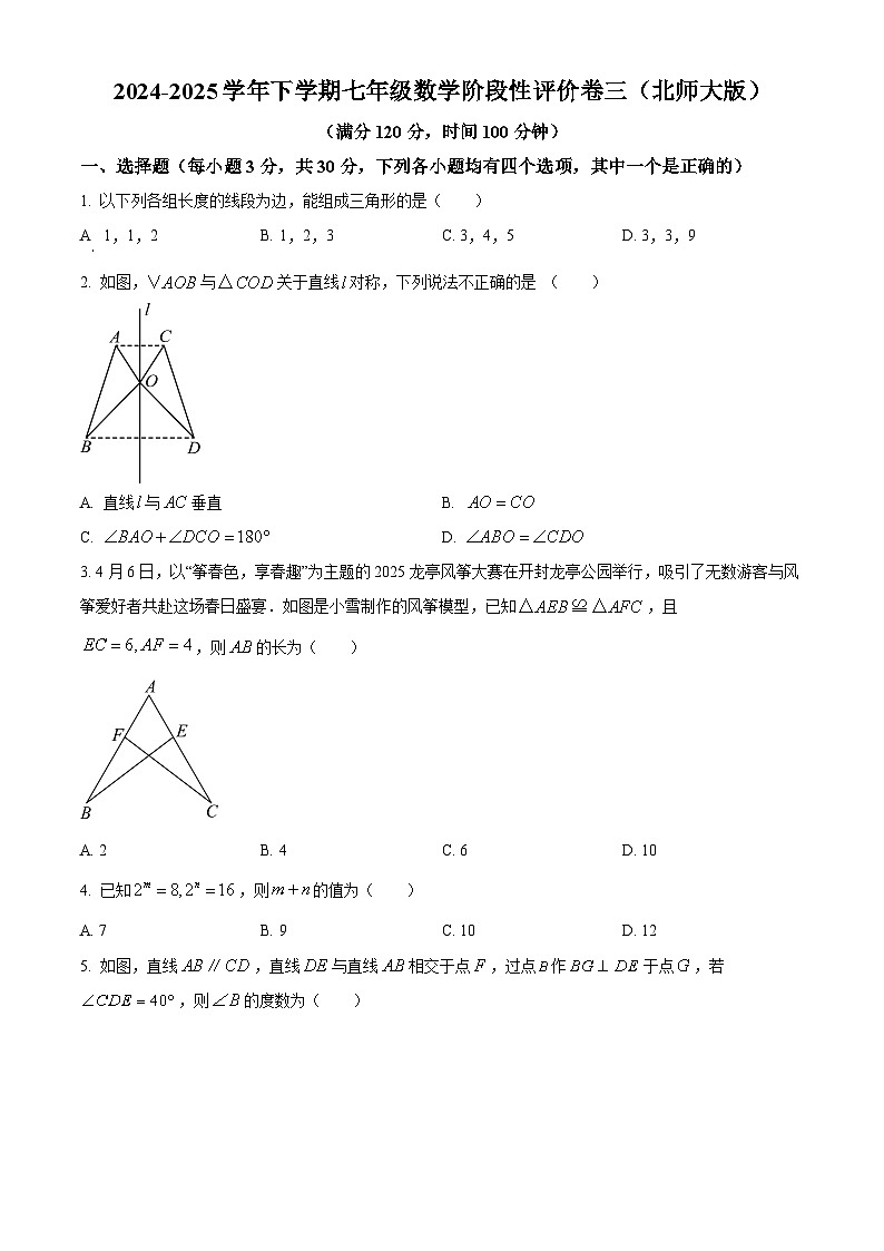 河南省周口市项城市2024-2025学年七年级下学期5月月考 数学试题第1页