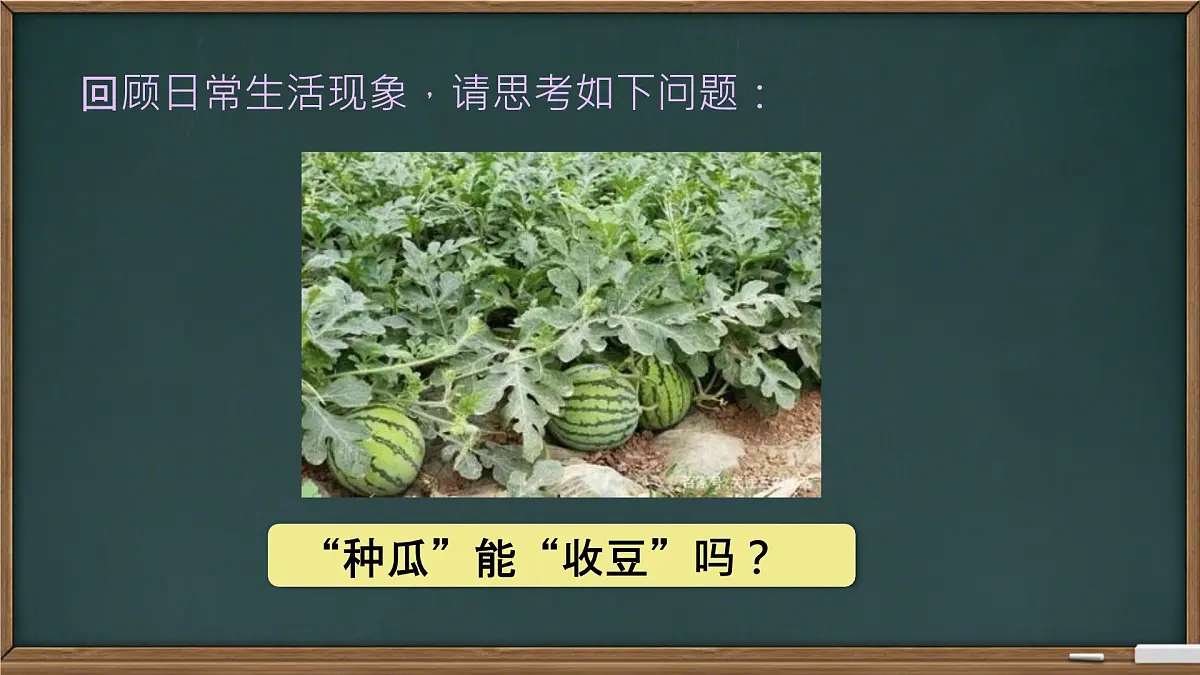 4.1+随机事件与可能性+课件2024-2025学年+湘教版九年级数学下册第4页