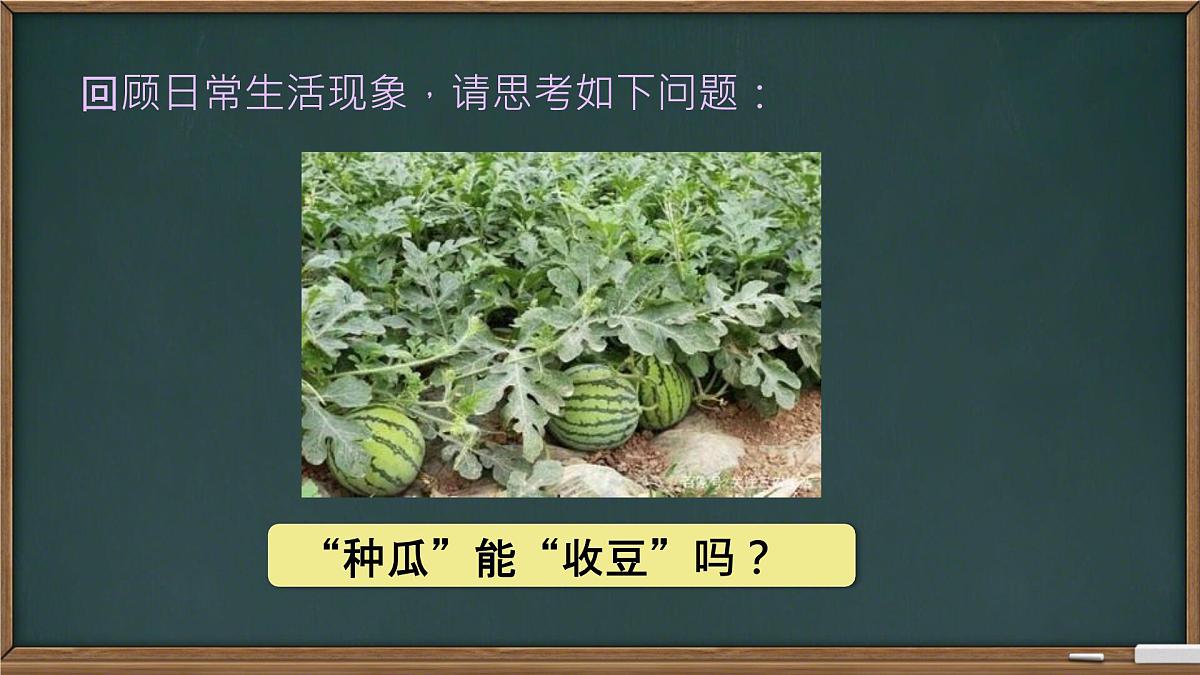 4.1+随机事件与可能性+课件2024-2025学年+湘教版九年级数学下册第4页