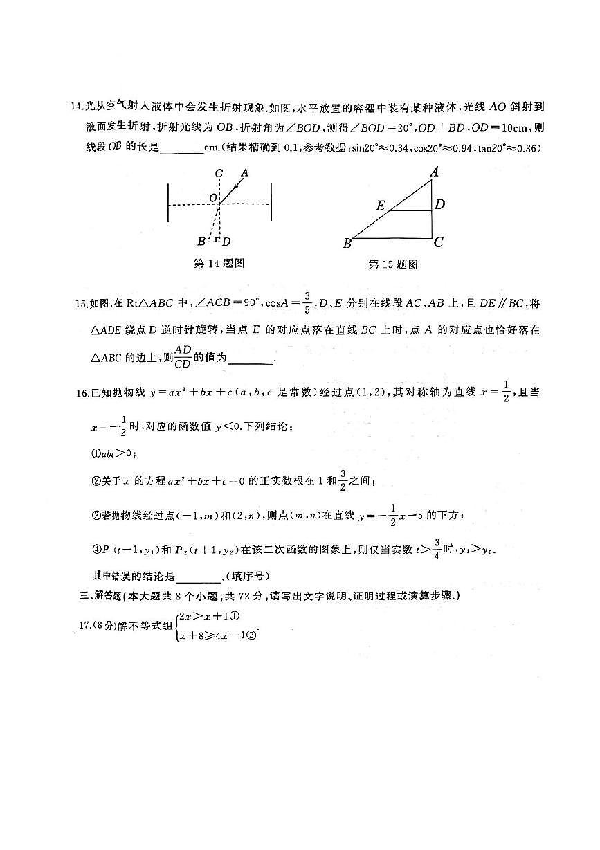 2025年湖北省武汉市江岸区部分学校中考模拟（三）数学试卷第3页