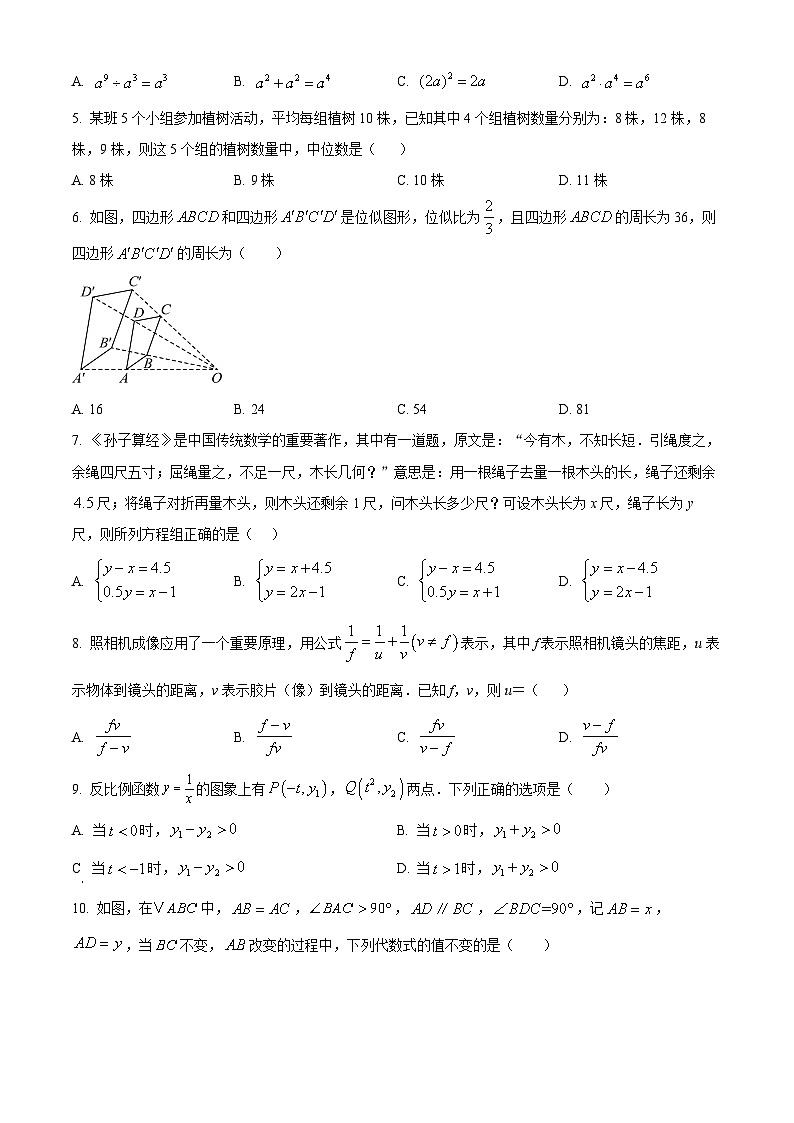 2025年浙江省宁波市江北区中考数学二模试题第2页