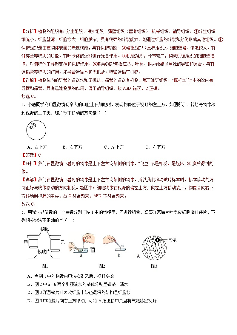 2025年中考数学第三次模拟考试卷：生物（福建卷）（解析版）第3页
