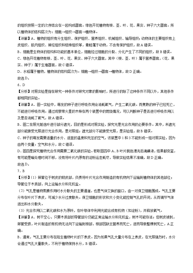 2025年中考数学第三次模拟考试卷：生物（广东卷）（解析版）第3页