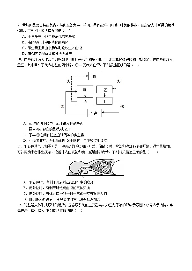 2025年中考数学第三次模拟考试卷：生物（广东卷）（考试版）第3页