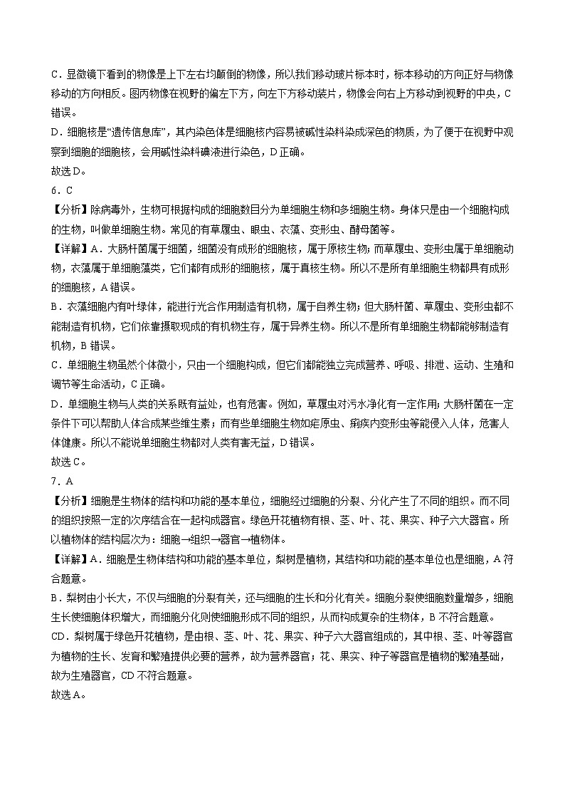 2025年中考数学第三次模拟考试卷：生物（广州卷）（解析版）第3页