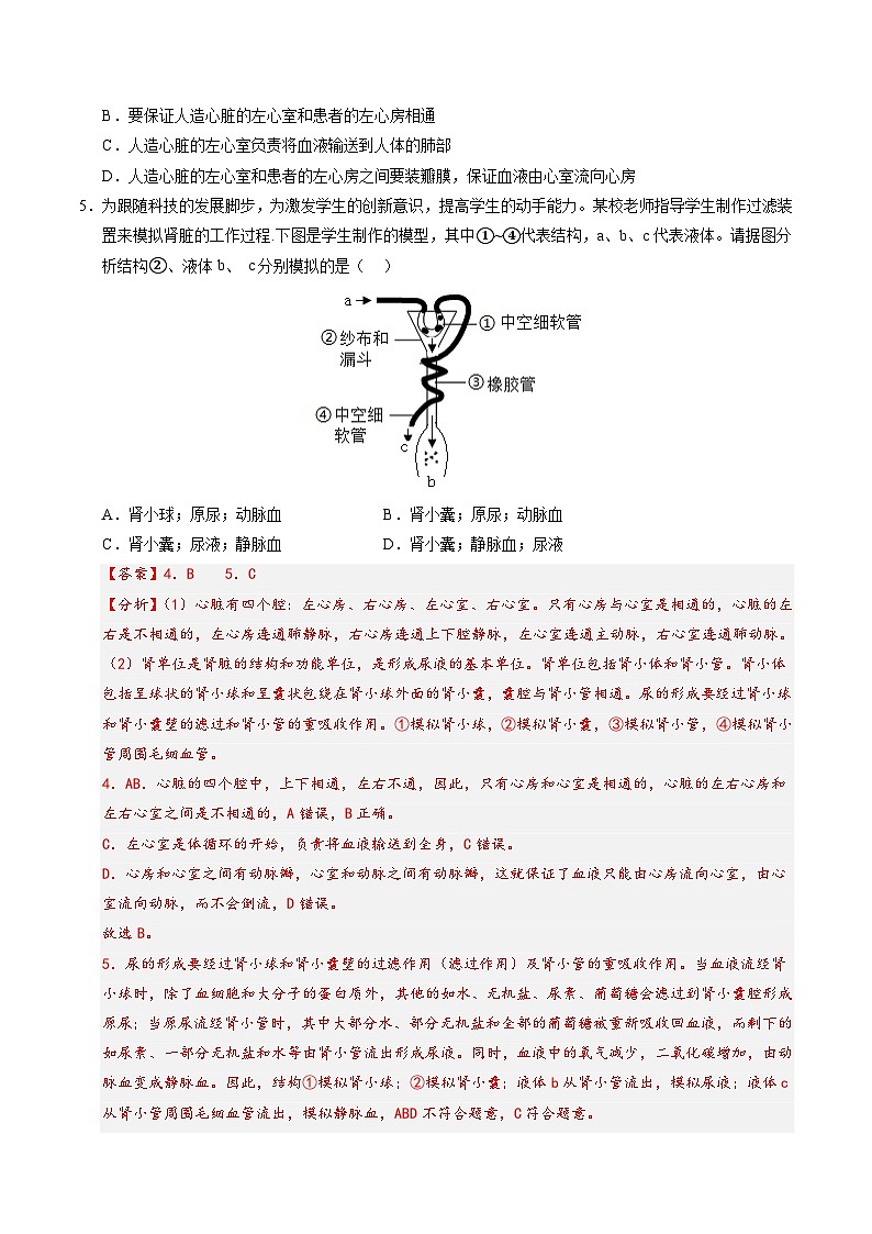 2025年中考数学第三次模拟考试卷：生物（湖北卷）（解析版）第3页