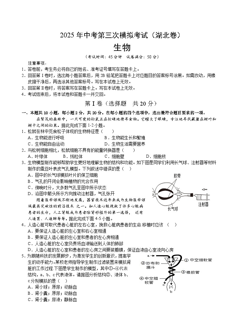 2025年中考数学第三次模拟考试卷：生物（湖北卷）（考试版）第1页