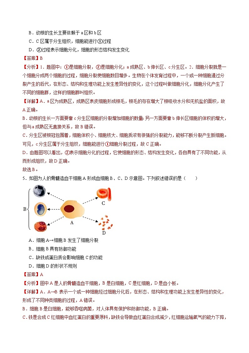 2025年中考数学第三次模拟考试卷：生物（湖南卷）（解析版）第3页