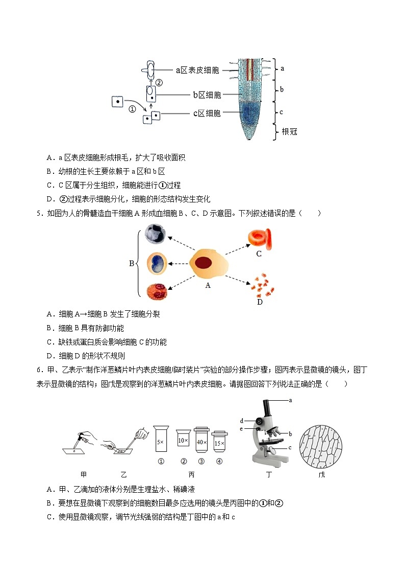 2025年中考数学第三次模拟考试卷：生物（湖南卷）（考试版）第2页