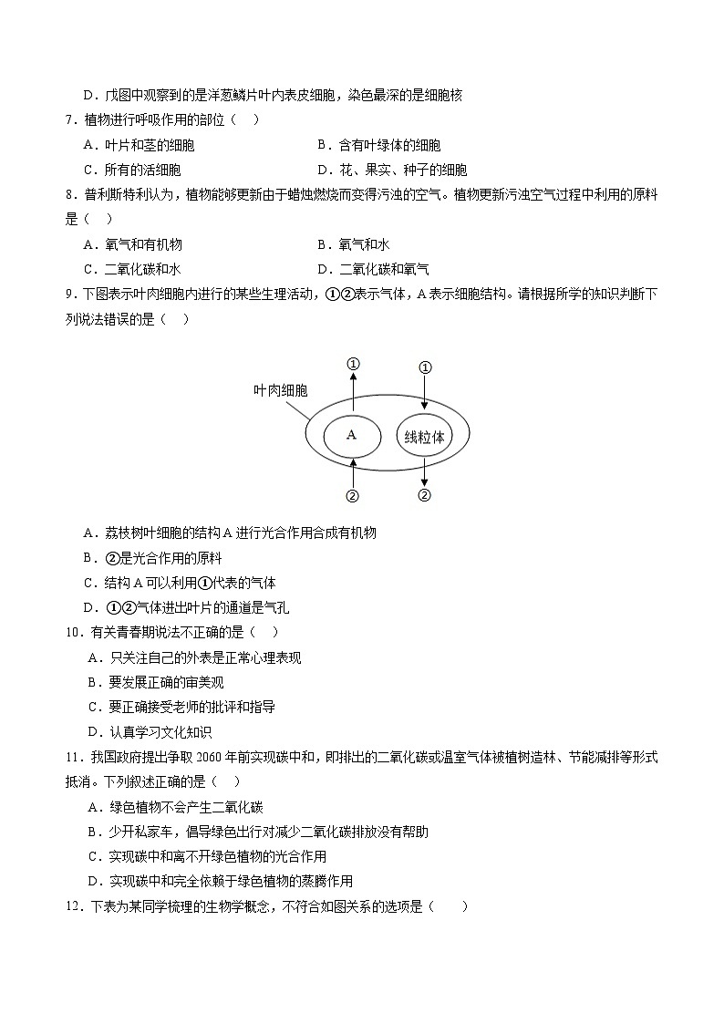 2025年中考数学第三次模拟考试卷：生物（湖南卷）（考试版）第3页