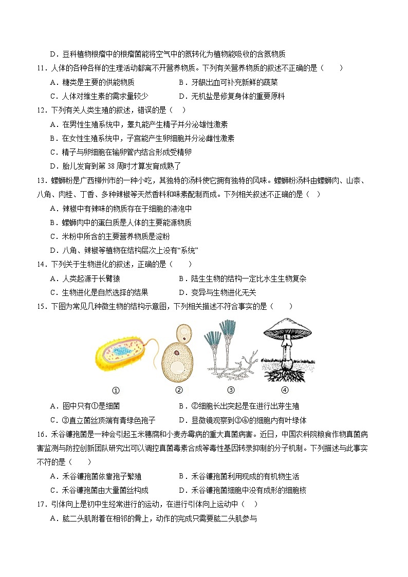 2025年中考数学第三次模拟考试卷：生物（济南卷）（考试版）第3页