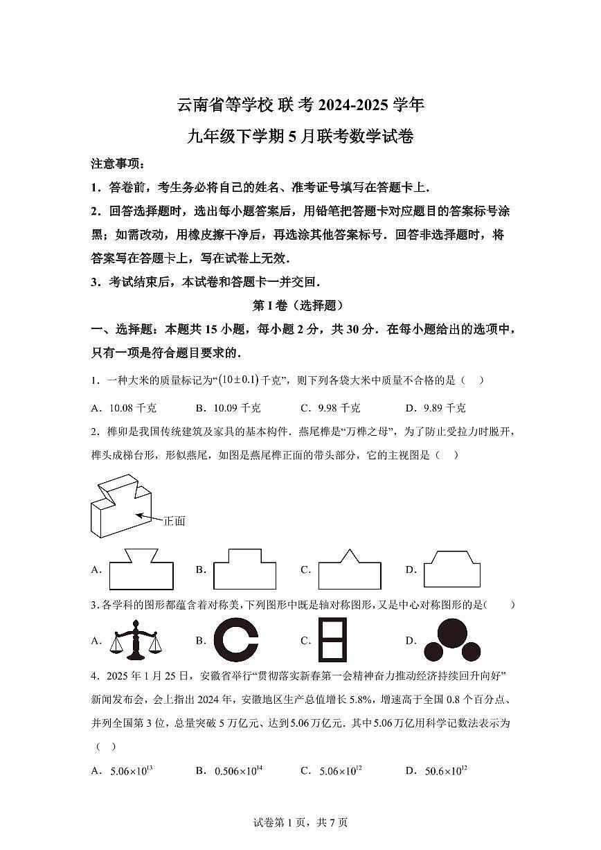 2024-2025学年云南省九年级下学期5月联考数学试卷第1页