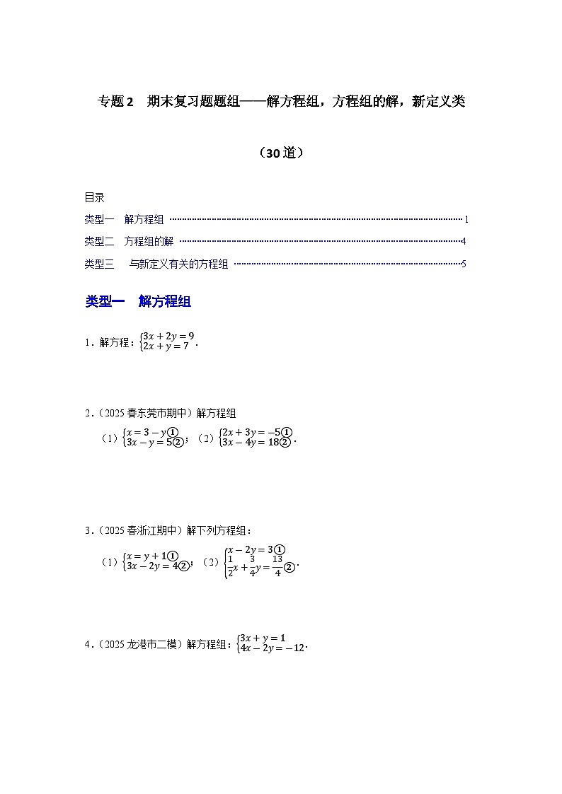 专题2 期末复习题题组——解方程组、方程组的解、新定义类（原卷版）第1页