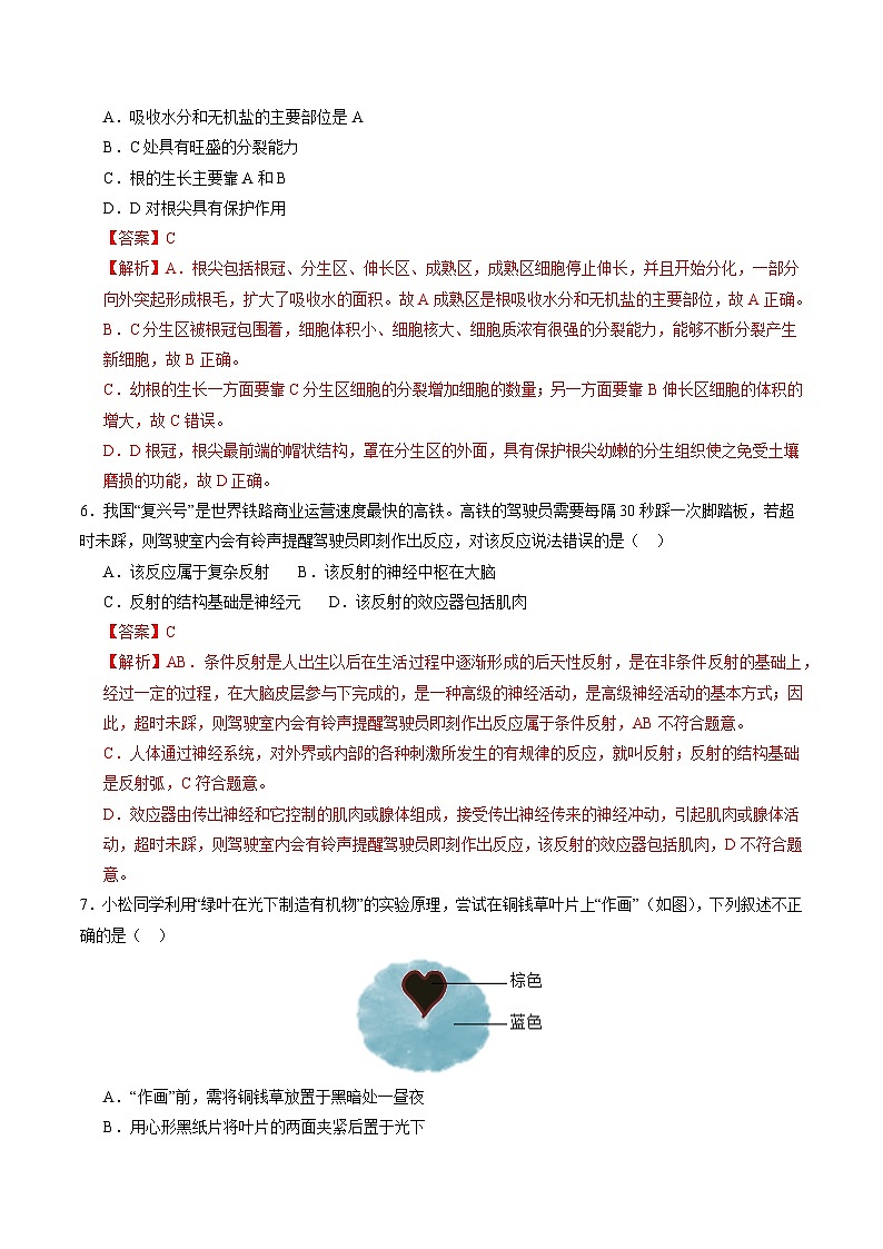 2025年中考数学第三次模拟考试卷：生物（江西卷）（解析版）第3页