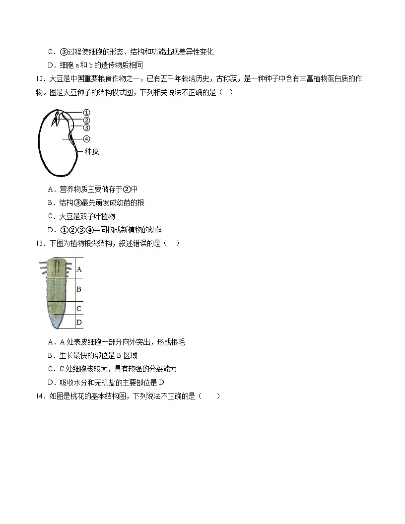 2025年中考数学第三次模拟考试卷：生物（南京卷）（考试卷）第2页