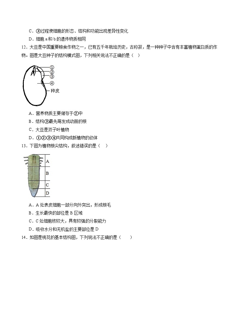 2025年中考数学第三次模拟考试卷：生物（南京卷）（考试卷）第2页