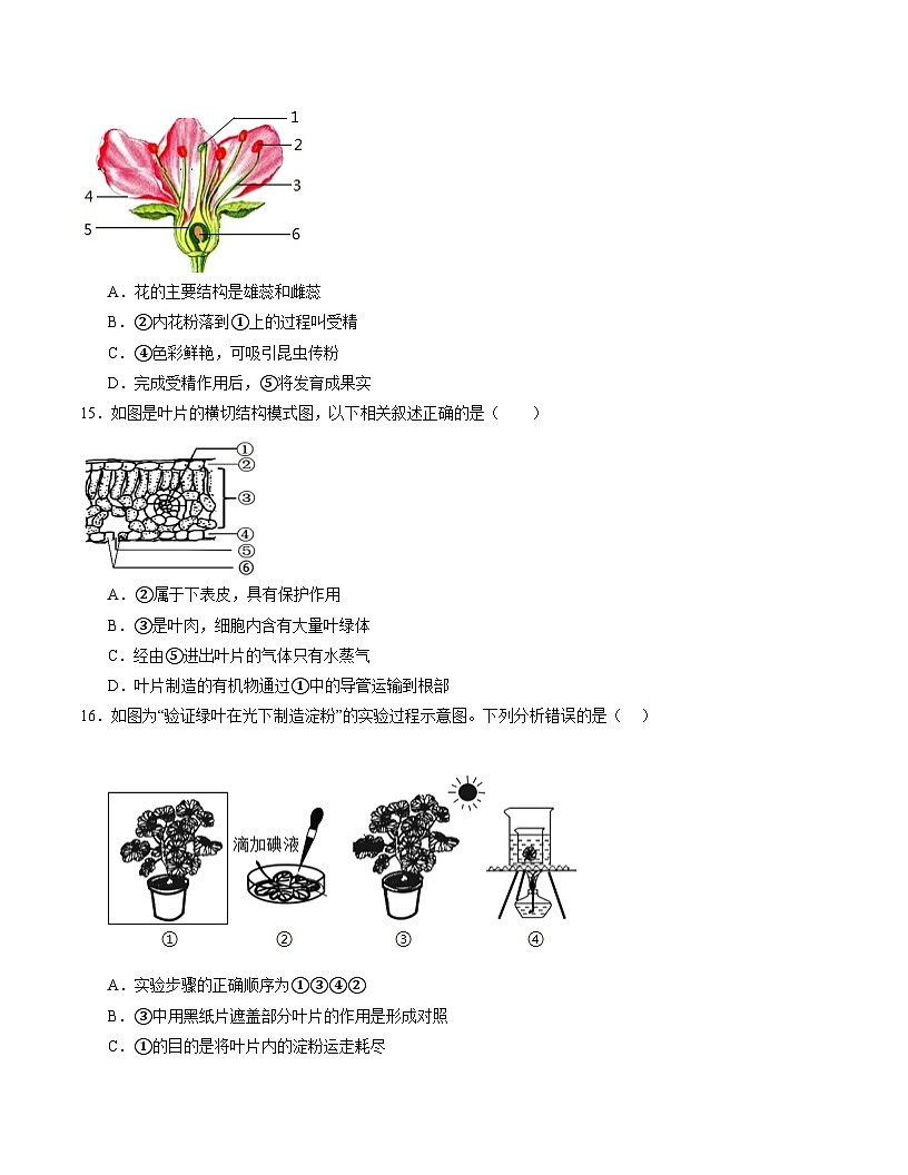 2025年中考数学第三次模拟考试卷：生物（南京卷）（考试卷）第3页