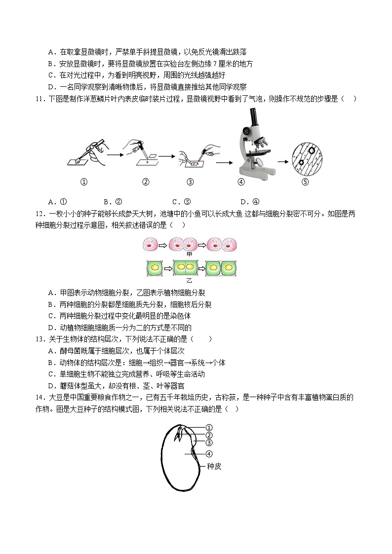 2025年中考数学第三次模拟考试卷：生物（青岛卷）（考试版）第3页