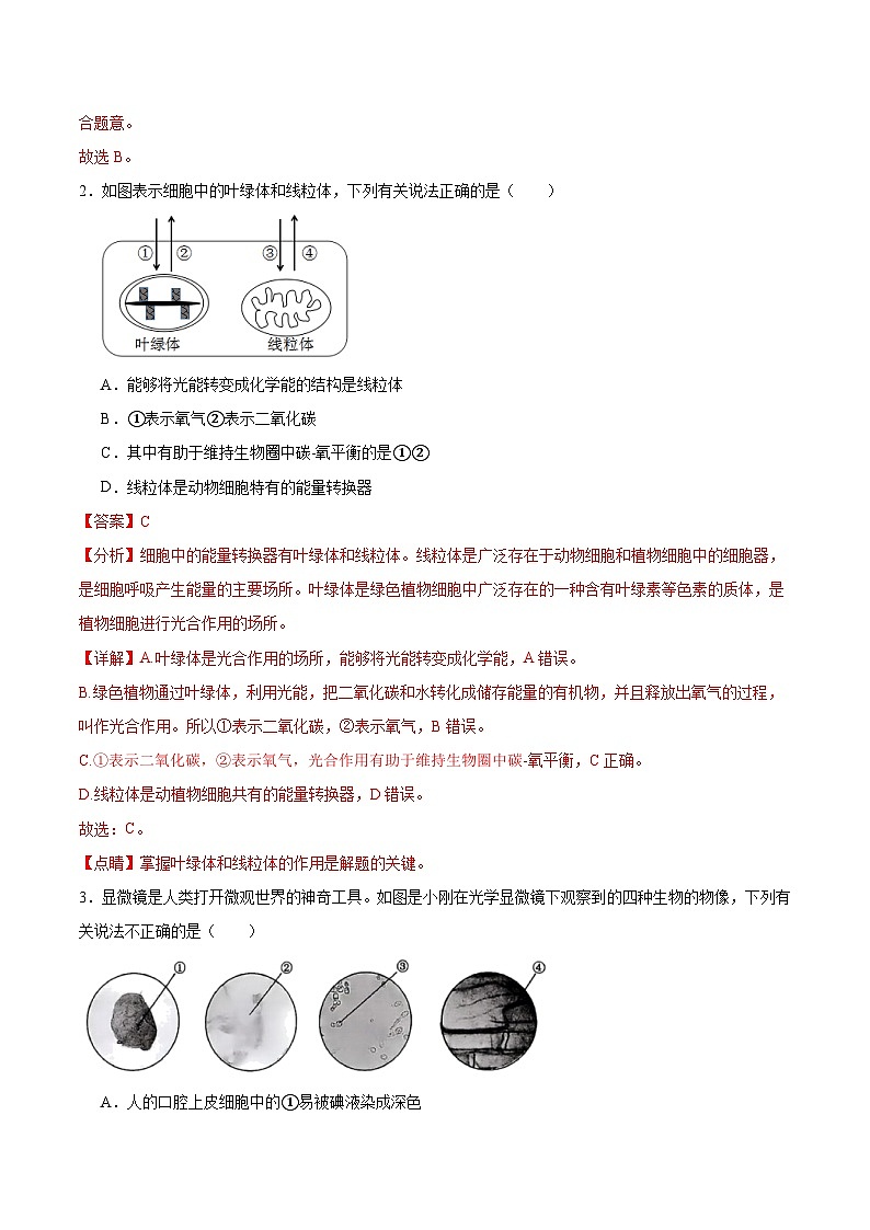 2025年中考数学第三次模拟考试卷：生物（陕西卷）（解析版）第2页